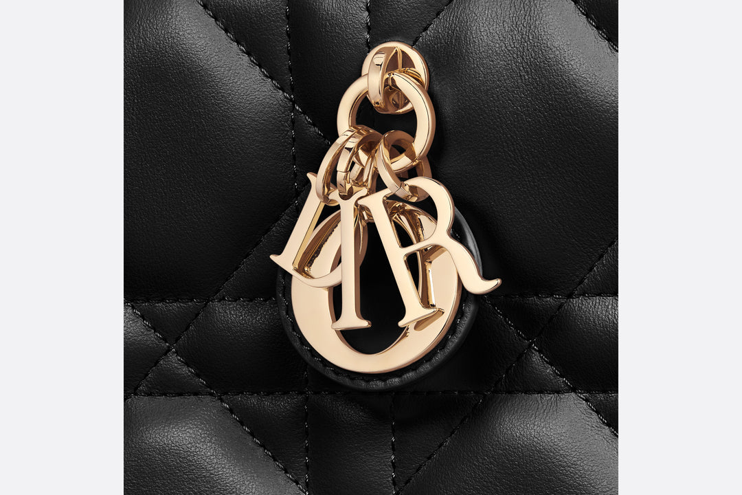 MINI DIOR BOOK TOTE