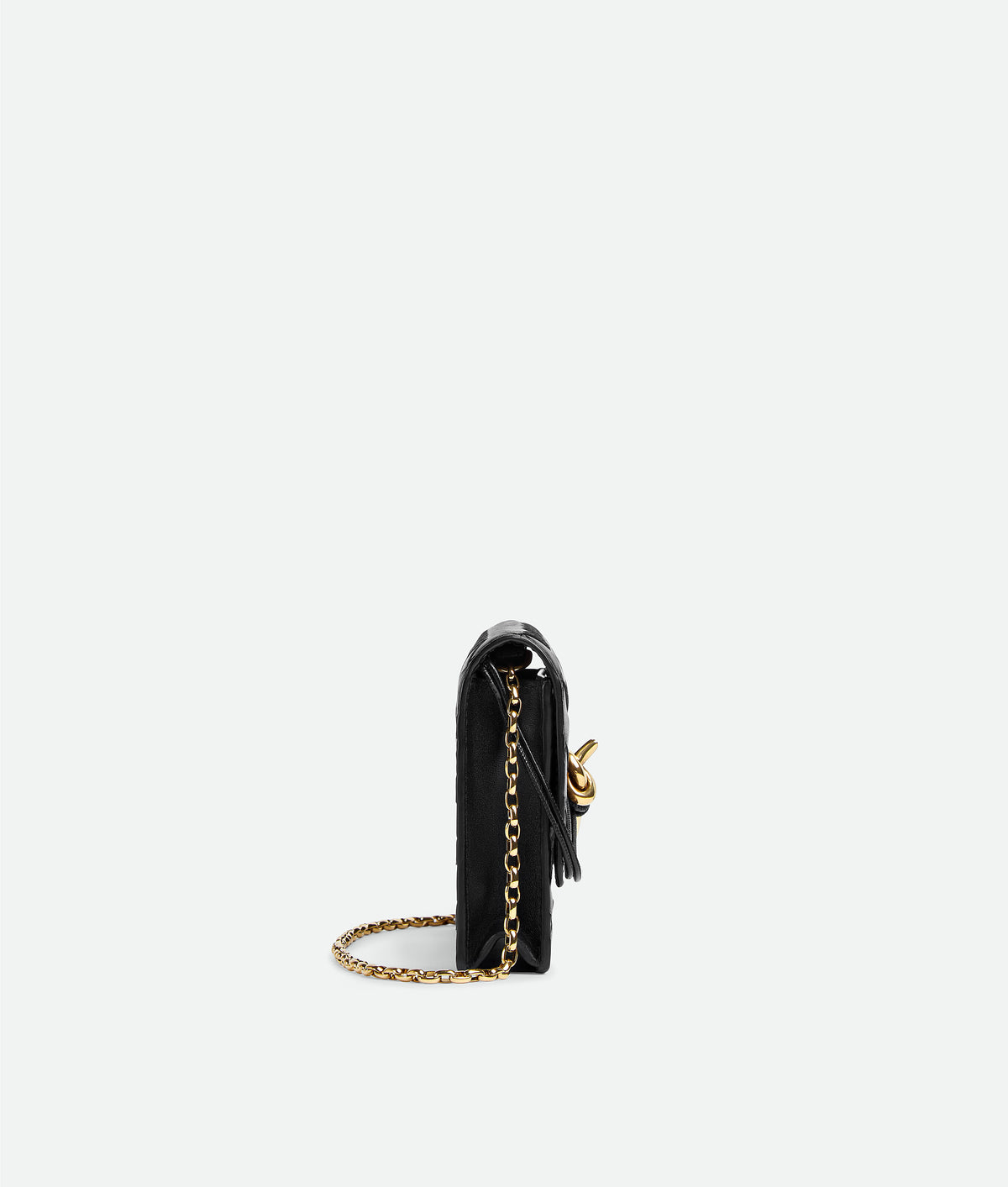 Bottega veneta Andiamo Pouch on Chain