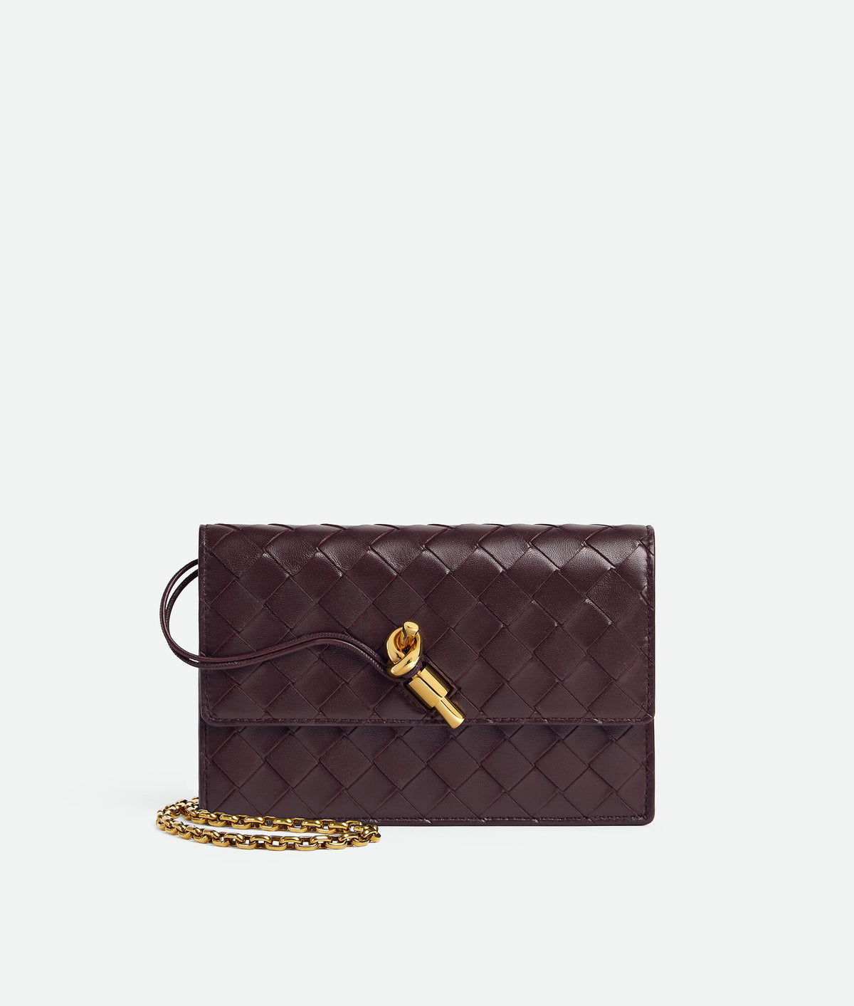 Bottega veneta Andiamo Pouch on Chain