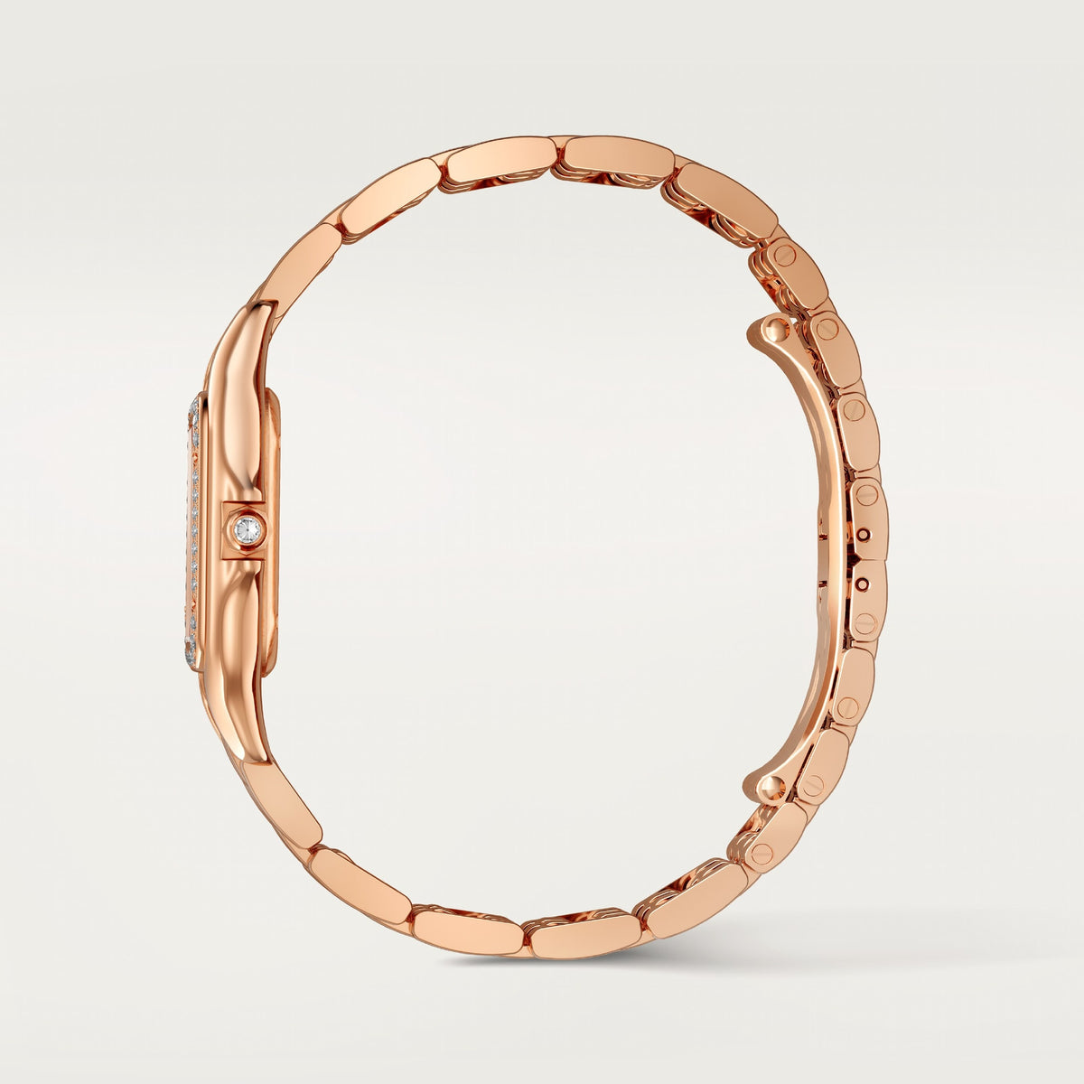 PANTHÈRE DE CARTIER