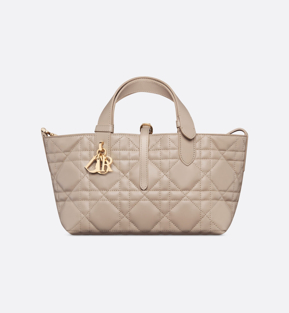 Small Dior Toujours Bag