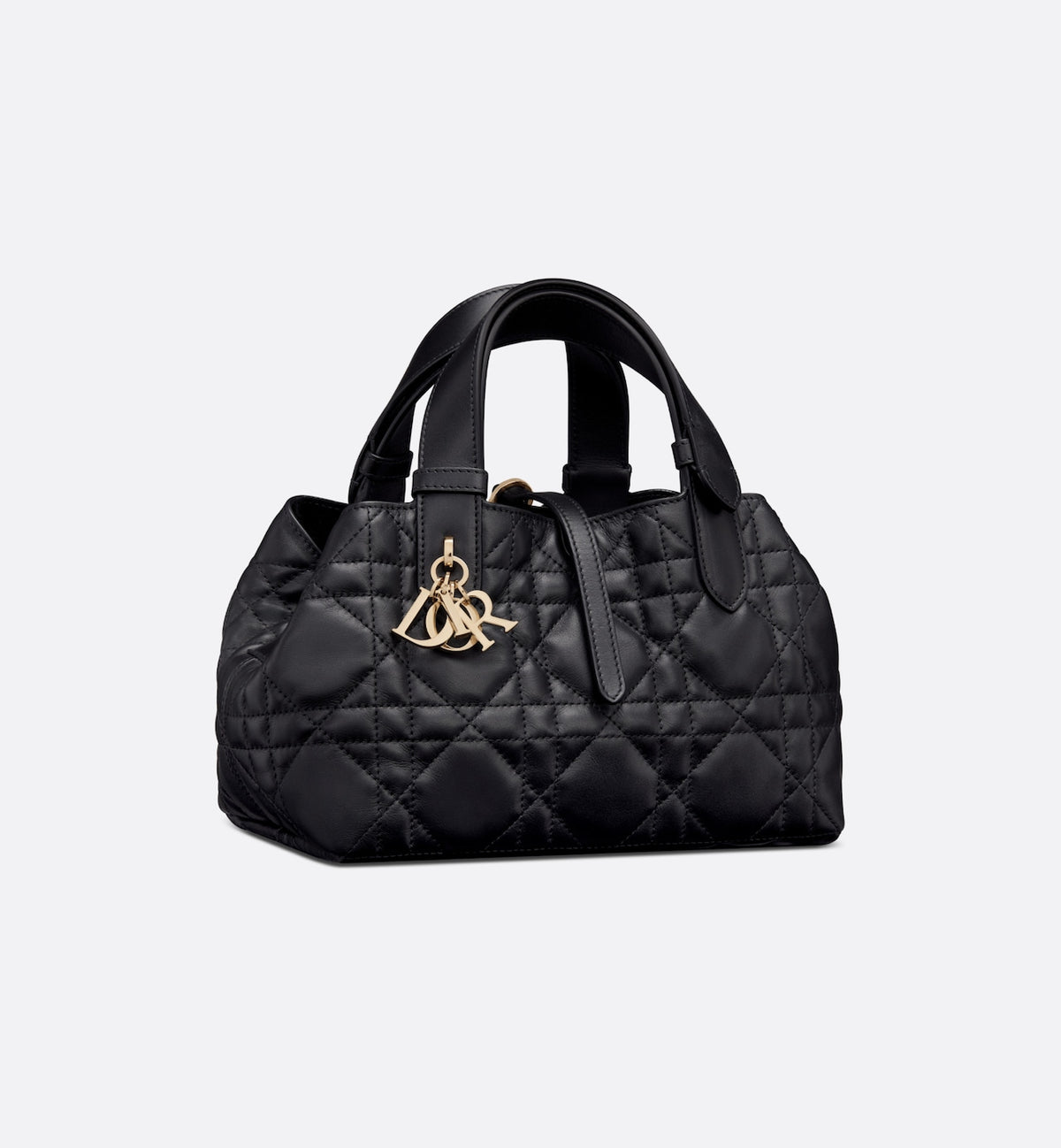 Small Dior Toujours Bag