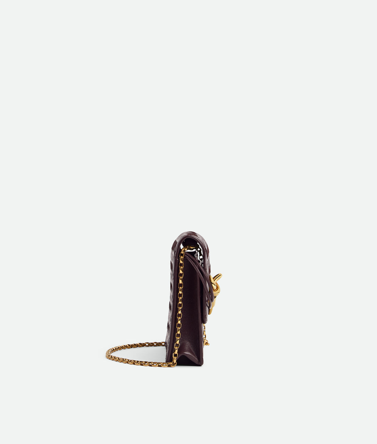 Bottega veneta Andiamo Pouch on Chain