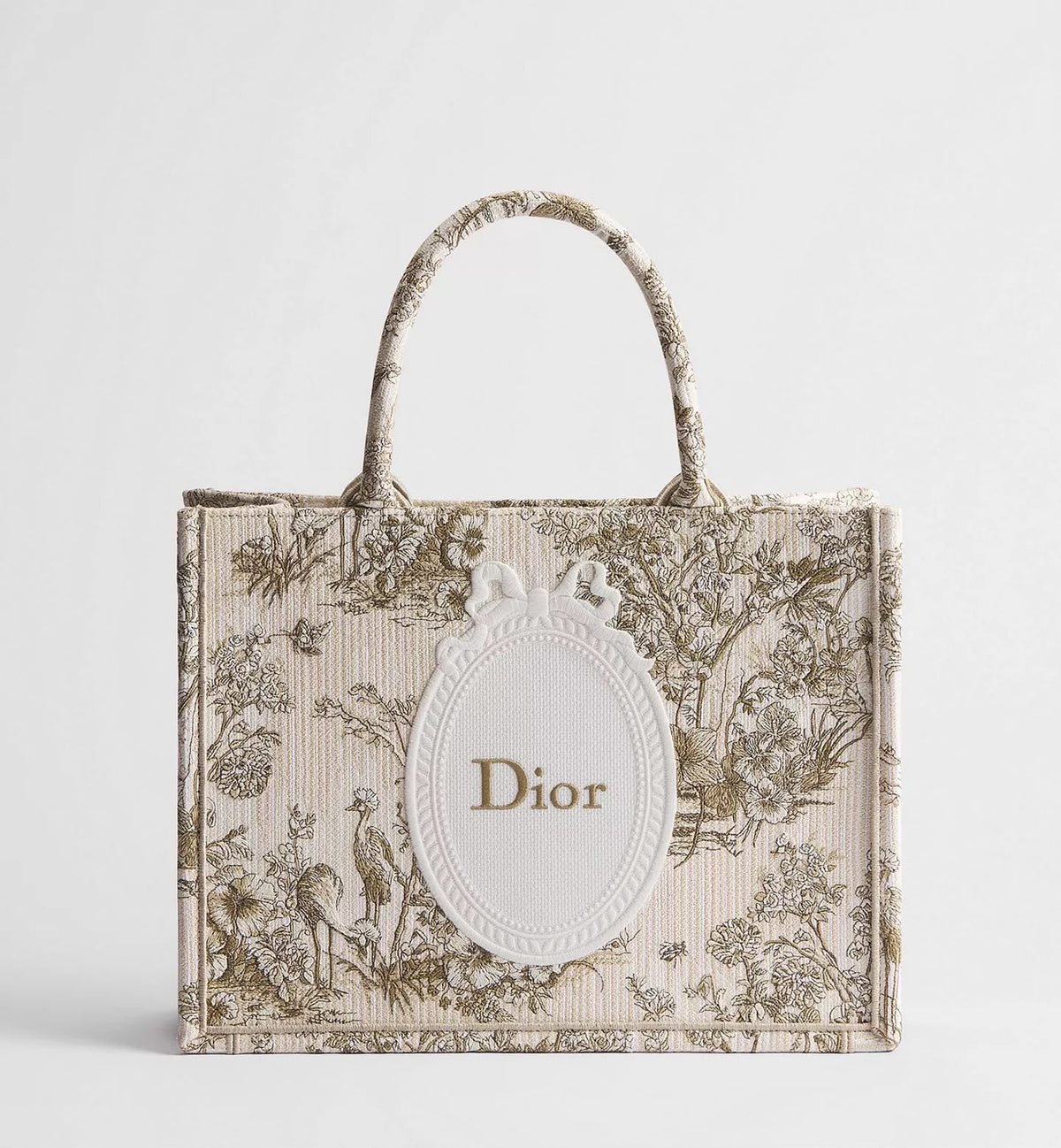 Medium Dior Book Tote with Strap