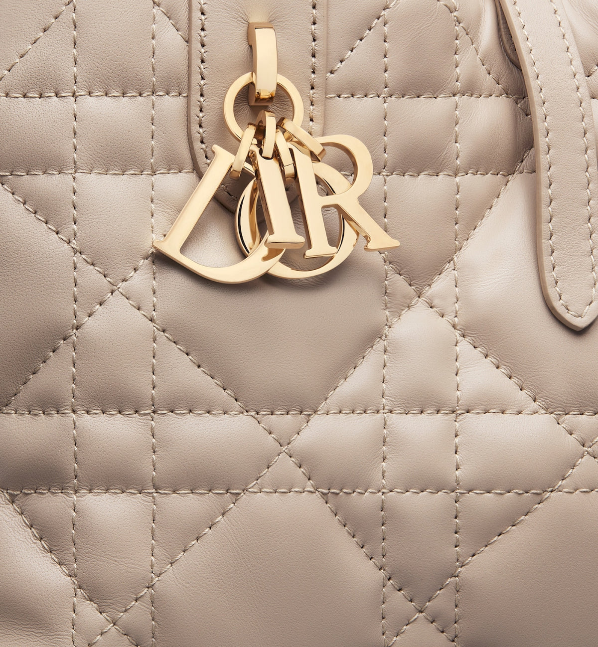Small Dior Toujours Bag