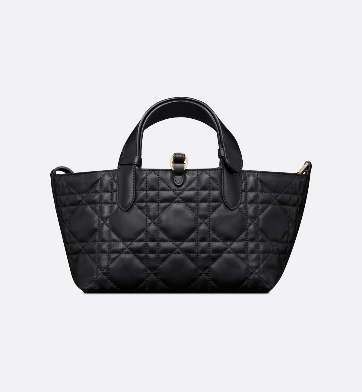 Small Dior Toujours Bag