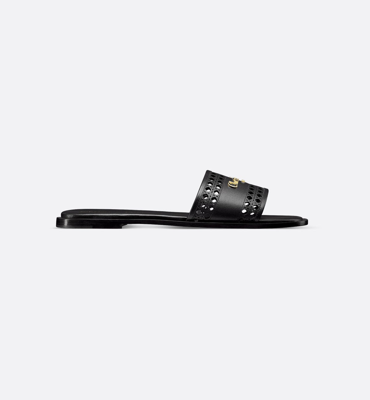 Dior D-Lane Slide