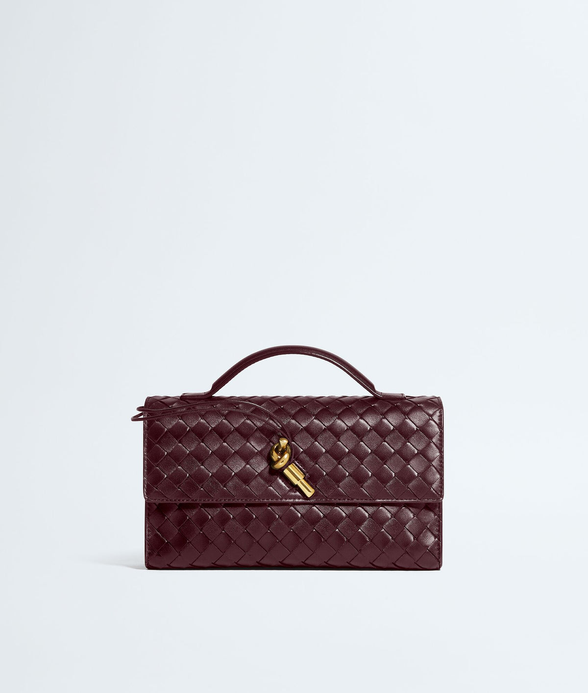 Bottega veneta Andiamo Clutch 25