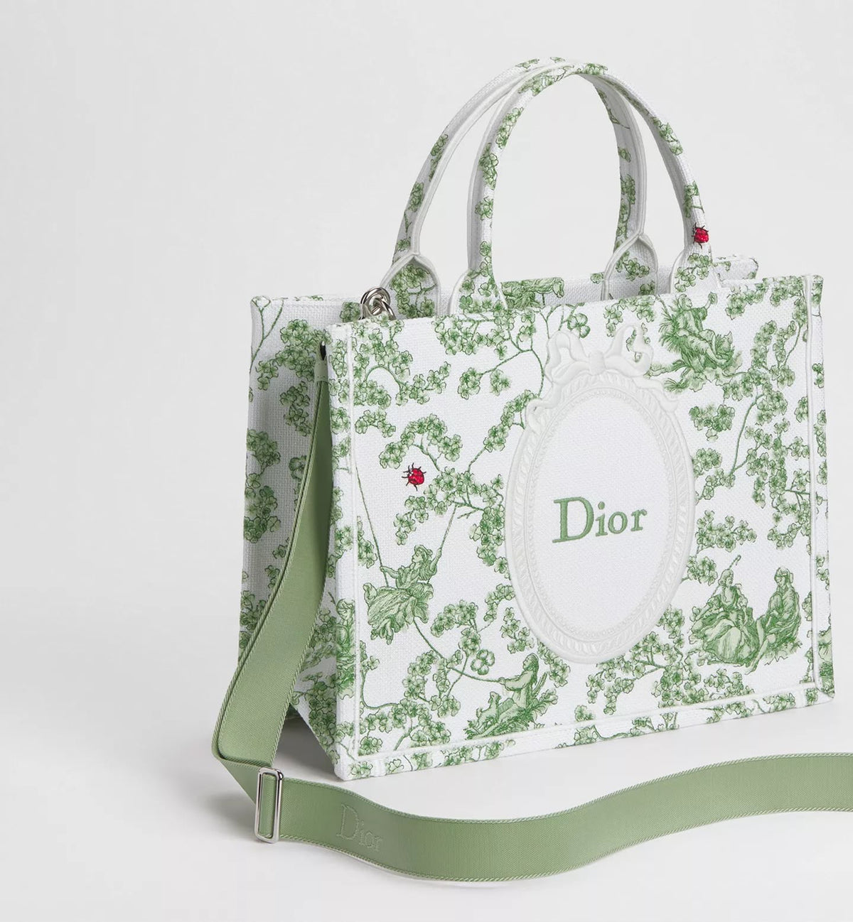 Medium Dior Book Tote with Strap