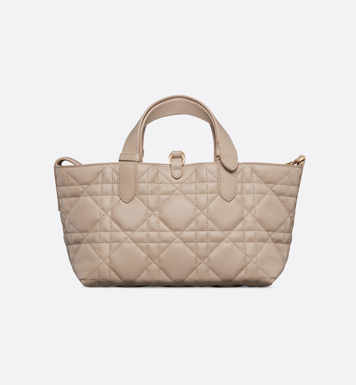 Small Dior Toujours Bag