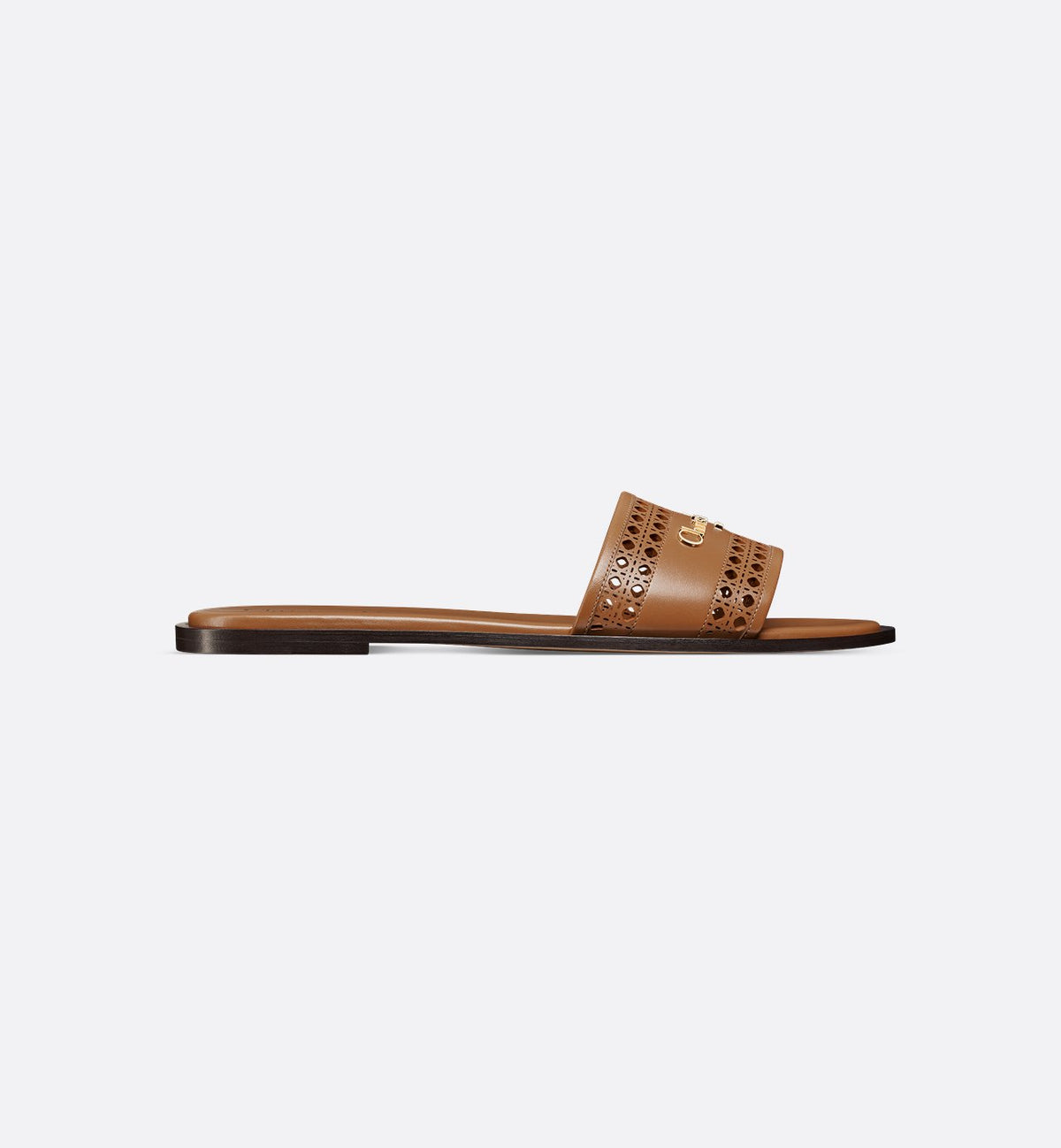 Dior D-Lane Slide