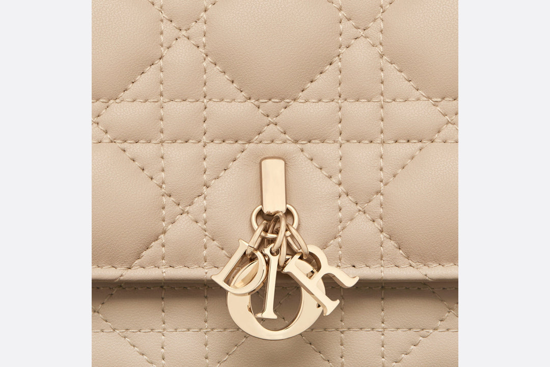 MISS DIOR MINI BAG