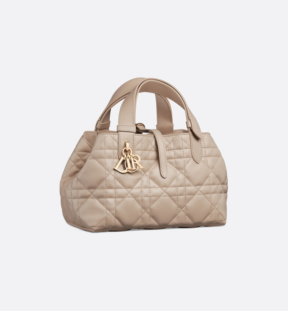 Small Dior Toujours Bag