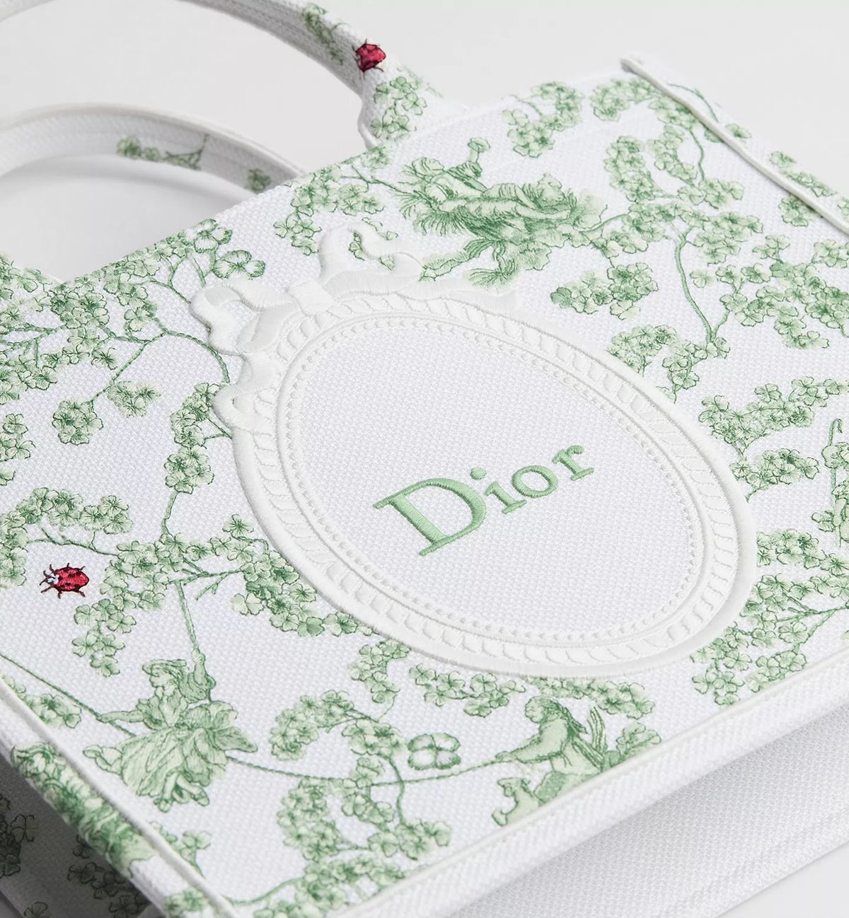 Medium Dior Book Tote with Strap