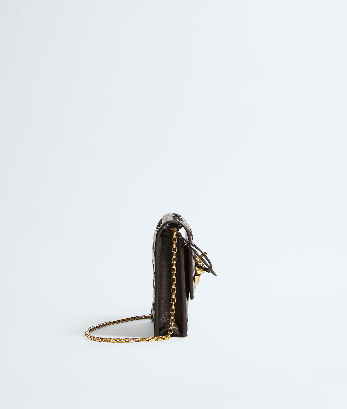 Bottega veneta Andiamo Pouch on Chain