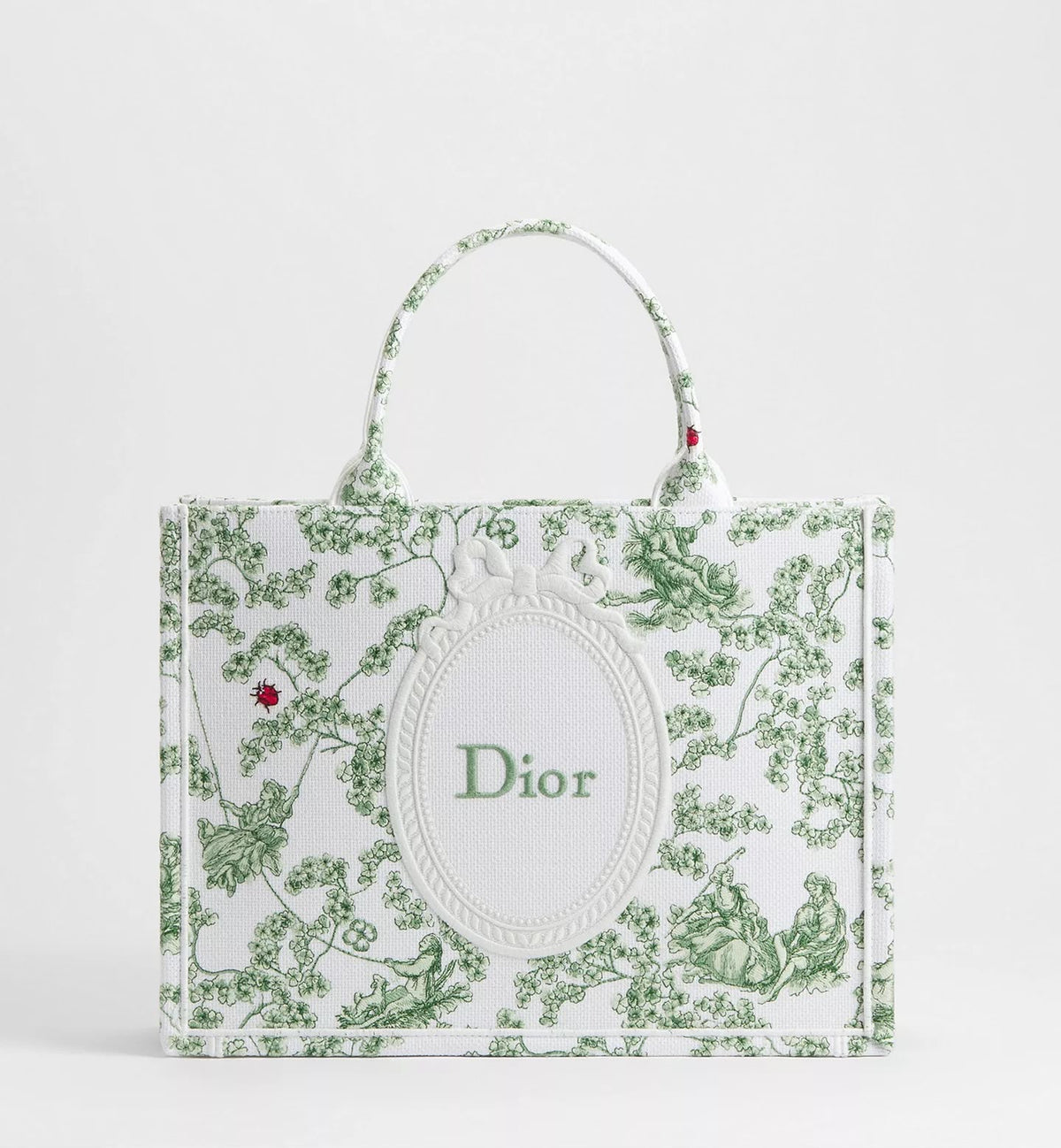 Medium Dior Book Tote with Strap