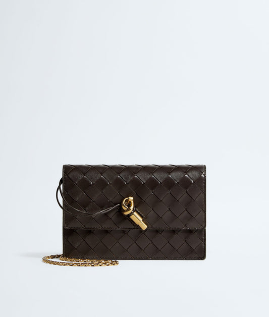 Bottega veneta Andiamo Pouch on Chain