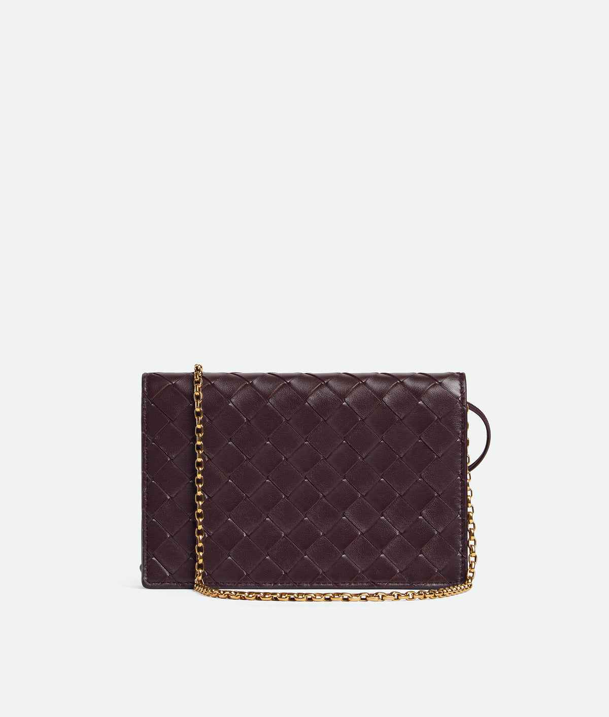 Bottega veneta Andiamo Pouch on Chain