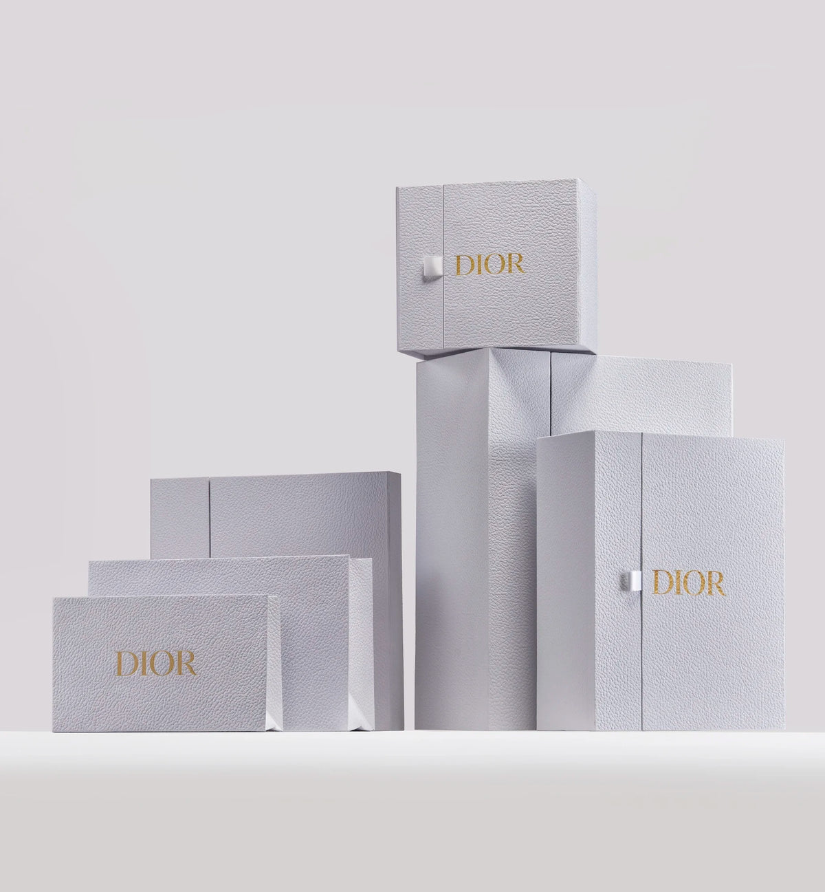 Medium Dior Médaillon Flap Bag