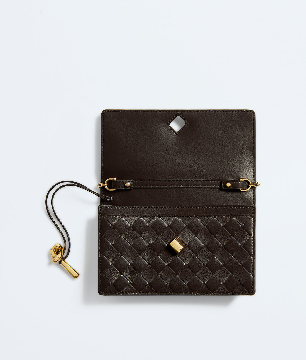 Bottega veneta Andiamo Pouch on Chain
