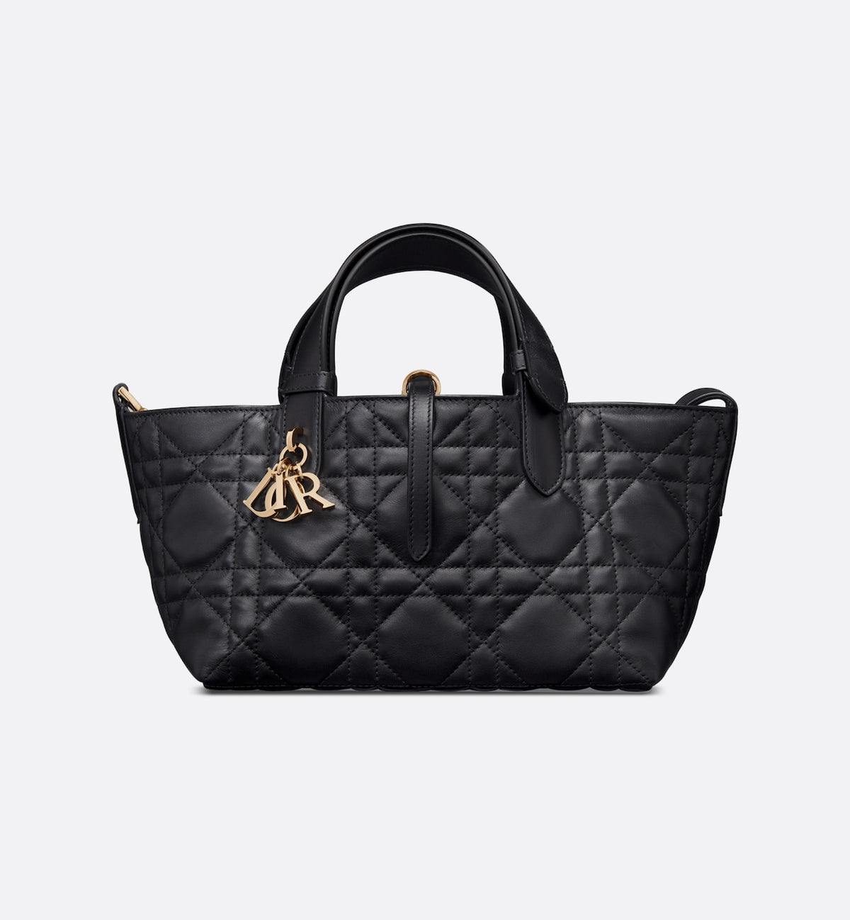 Small Dior Toujours Bag