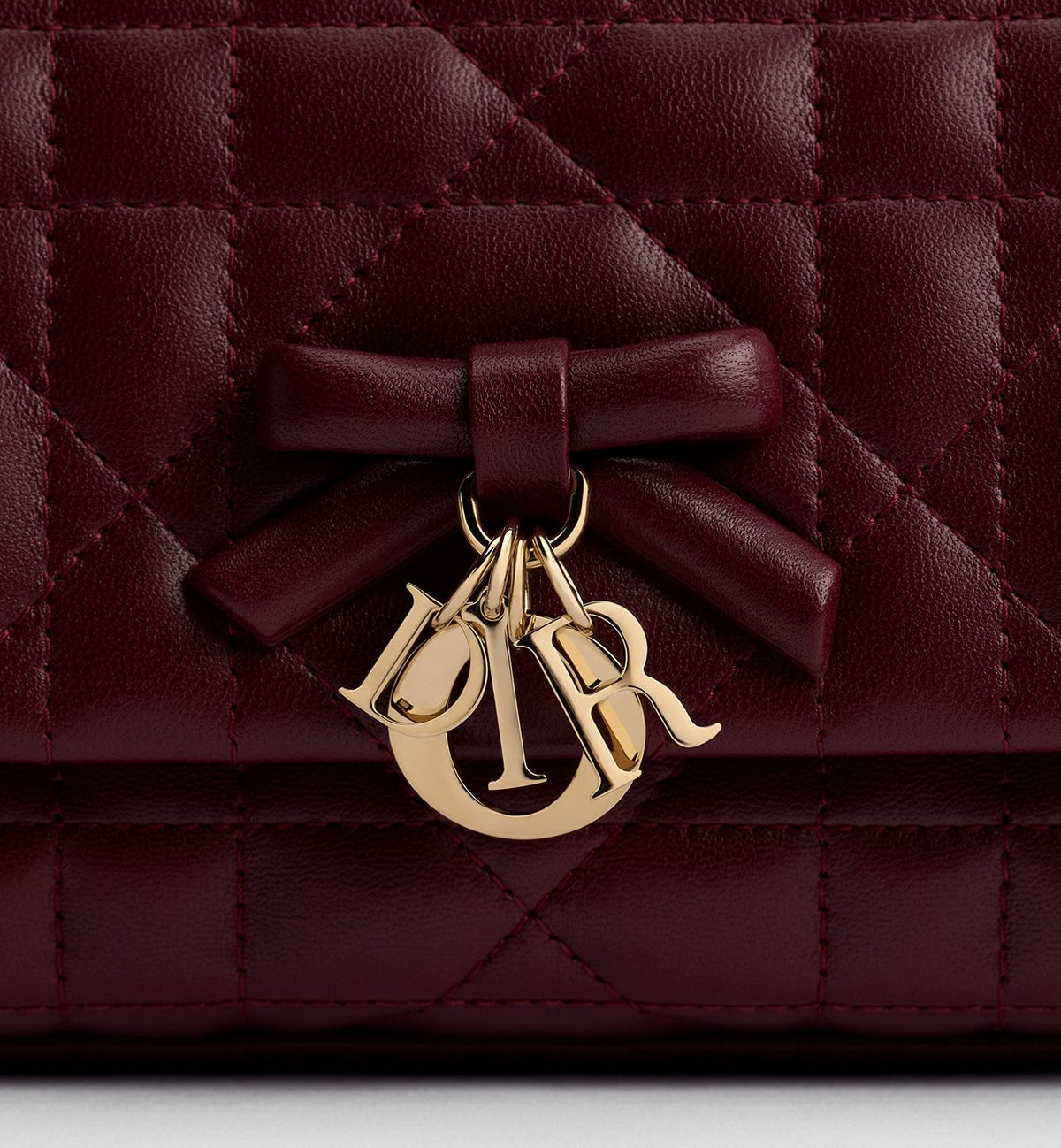 My Tender Dior Top Handle Mini Bag