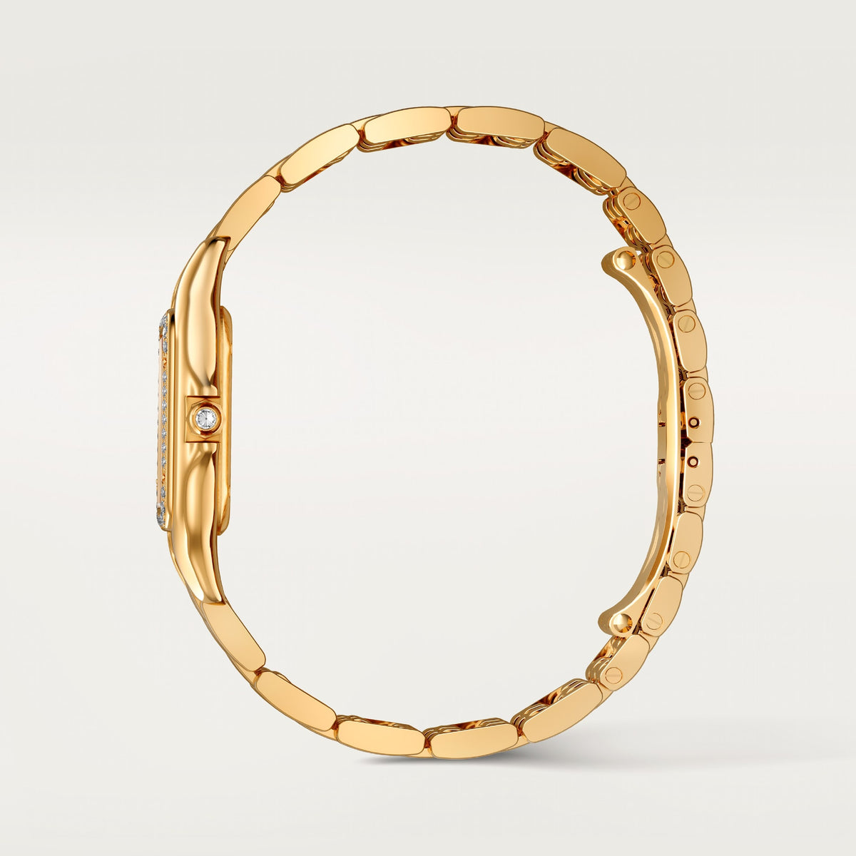 PANTHÈRE DE CARTIER